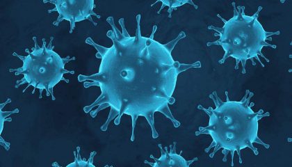 Na webech je 11 milionů zmínek o koronaviru