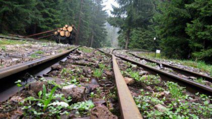 Údržba lokálek bez vlaků: Správa železnic vykazuje miliony i tam, kde nejsou vidět