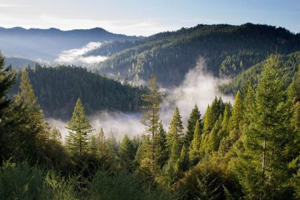 Memorandem chceme podpořit péči o lesy
