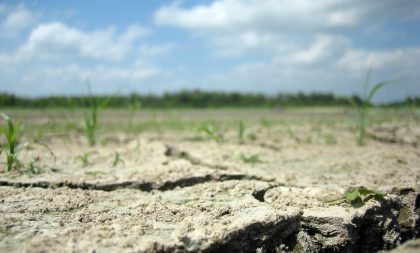 Zlínský kraj chystá plán pro zvládání sucha