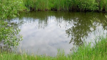 Jihomoravský kraj v boji proti suchu podpořil už 55 projektových dokumentací a koncepcí