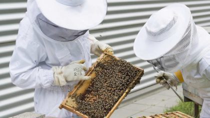 Včelaři mohou počítat s další podporou