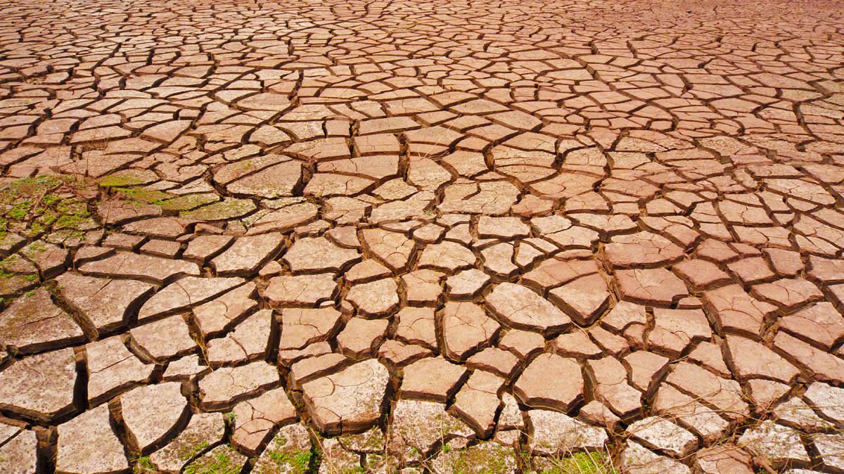 Stát chce lépe koordinovat boj proti suchu