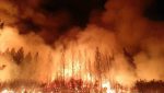 Odborný pohled: Proč je česká krajina náchylnější k požárům
