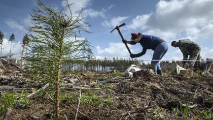 Olomoucký kraj finančně podpořil poničené lesy