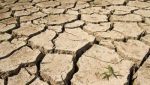  V Karlovarském kraji pomáhají dotace bojovat se suchem