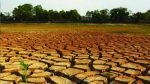 Názory: Co mohou obce dělat proti suchu?