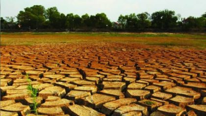 Názory: Co mohou obce dělat proti suchu?