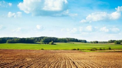 Plocha orné půdy obhospodařované ekologicky se mezi lety 2020-2021 rozrostla téměř o 10 %