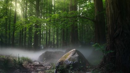 Karlovarský kraj opět udělí Zelenou hvězdu za významný počin v oblasti životního prostředí a ekologie