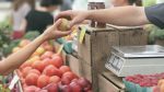 MZe: Ceny potravin se stabilizují a pomáhají snižovat celkovou inflaci