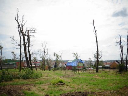 Specialisté mapují stav stromů v obcích postižených tornádem