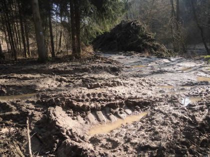 Moravskoslezský kraj přispěje obcím na opravu cest poškozených kvůli kůrovci