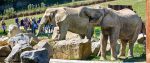Zoo Zlín je pátým nejnavštěvovanějším turistickým místem
