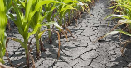 Krajské plány proti suchu podpoří stát příspěvkem